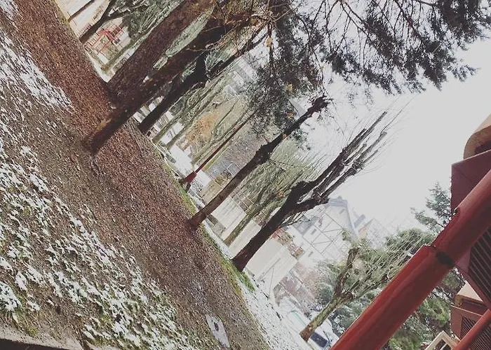 Europa Premium * Sierra Nevada